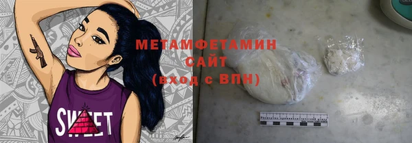 прущие грибы Няндома