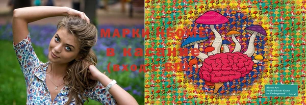 прущие грибы Няндома