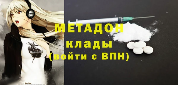 прущие грибы Няндома