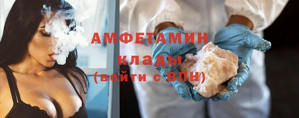 прущие грибы Няндома