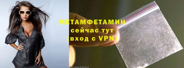 прущие грибы Няндома