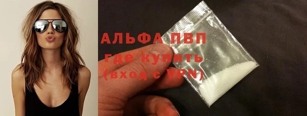 прущие грибы Няндома