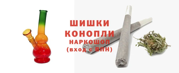 прущие грибы Няндома