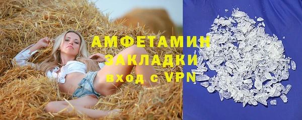 прущие грибы Няндома