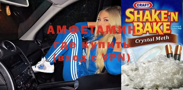 прущие грибы Няндома