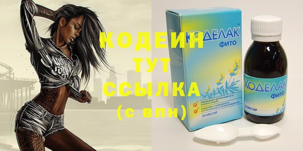 трава Новозыбков